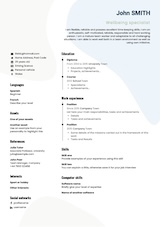 Szablon CV 2